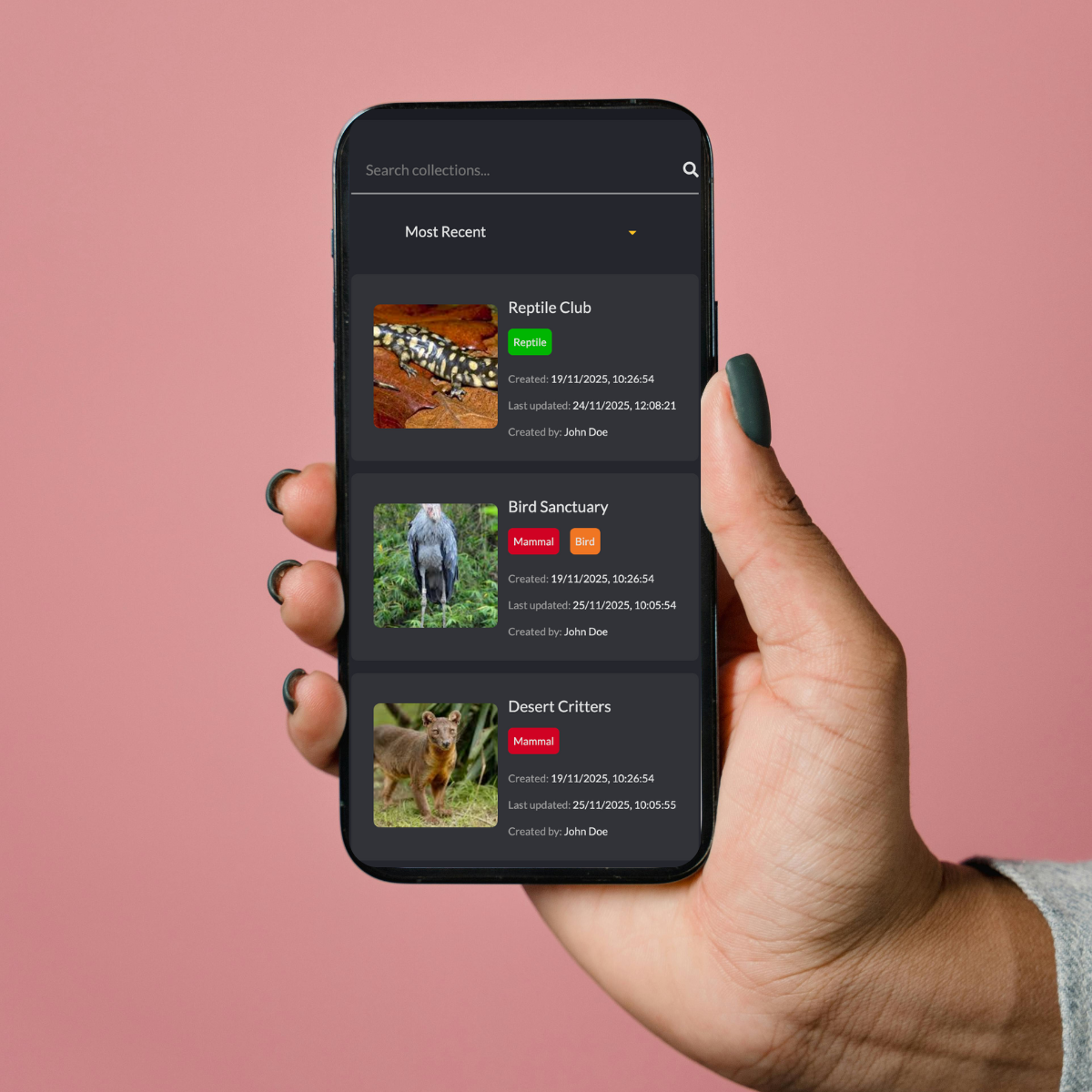 A hand holding a phone showing the responsiveness of RareKind website.