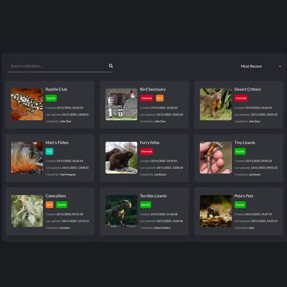 A screenshot of RareKind All Collections page, showing cards in a grid with different collections of animals.